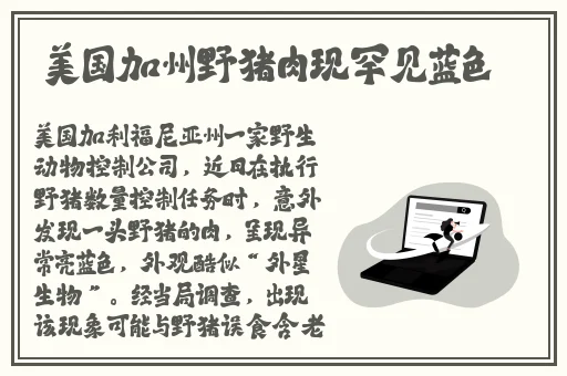 沈阳老阿姨最后的巅峰